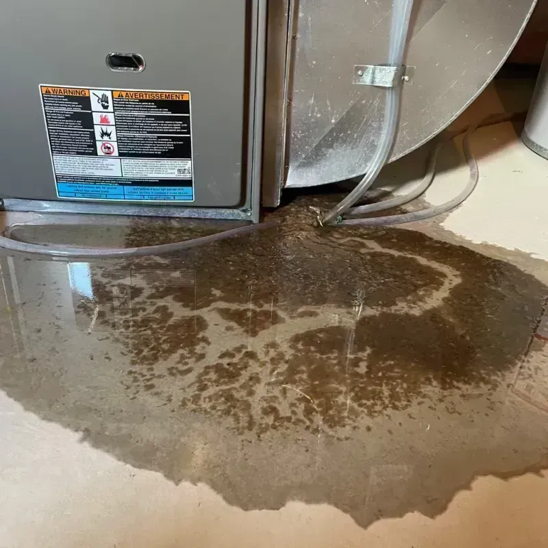 Appliance Leak Cleanup in Wellsville, MO